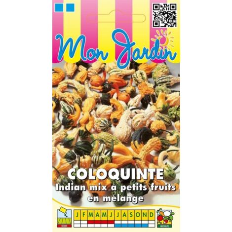 Coloquinte Indian Mix petits fruits - 3g