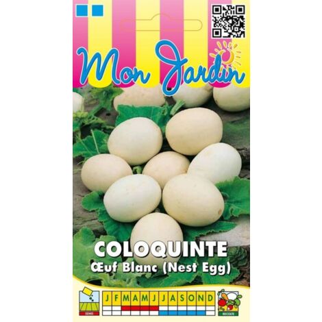Coloquinte Oeuf Blanc (Nest Egg) - 3g