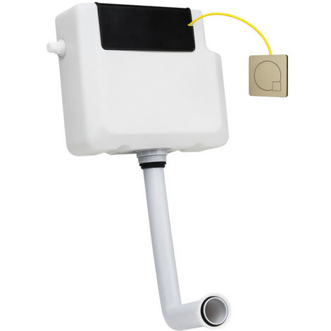 Colore Concealed Cistern with Front Access and Square Brushed Brass Modern Dual Flush Push Button