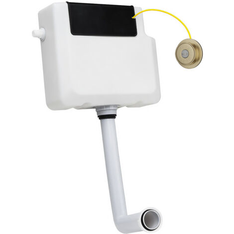 Colore Concealed Cistern with Round Brushed Brass Traditional Dual Flush Push Button