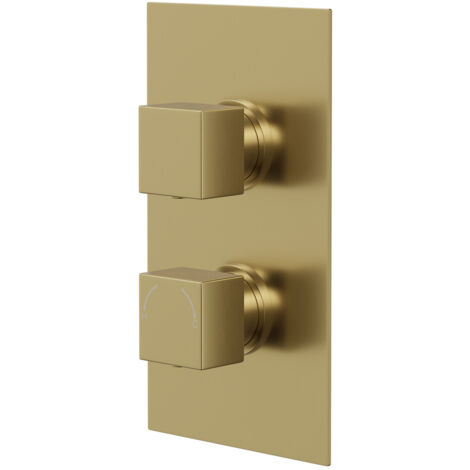 Colore Square Brushed Brass Concealed Twin Thermostatic Shower Valve - 1 Outlet