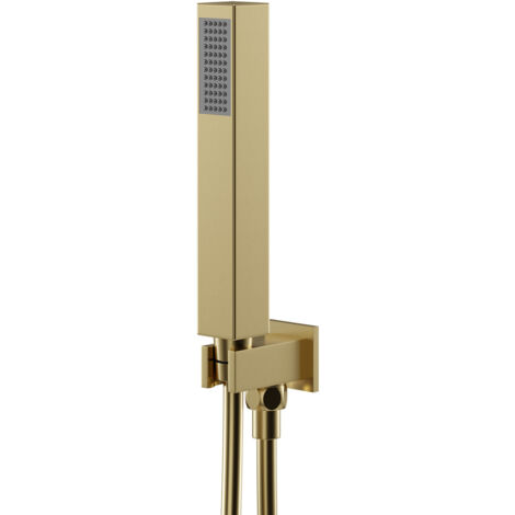 Colore Square Brushed Brass Shower Outlet Holder and Kit