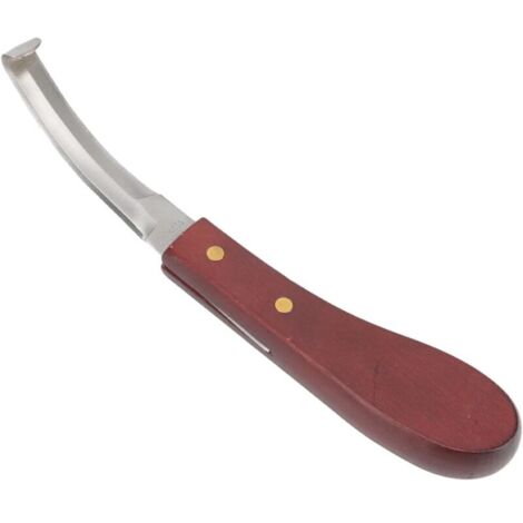 Coltello portatile a doppio taglio per zoccoli di cavallo, realizzato in acciaio inossidabile e dotato di impugnatura ergonomica.