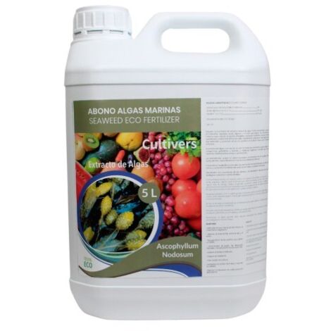 Coltiva le alghe liquide ecologiche 5 L