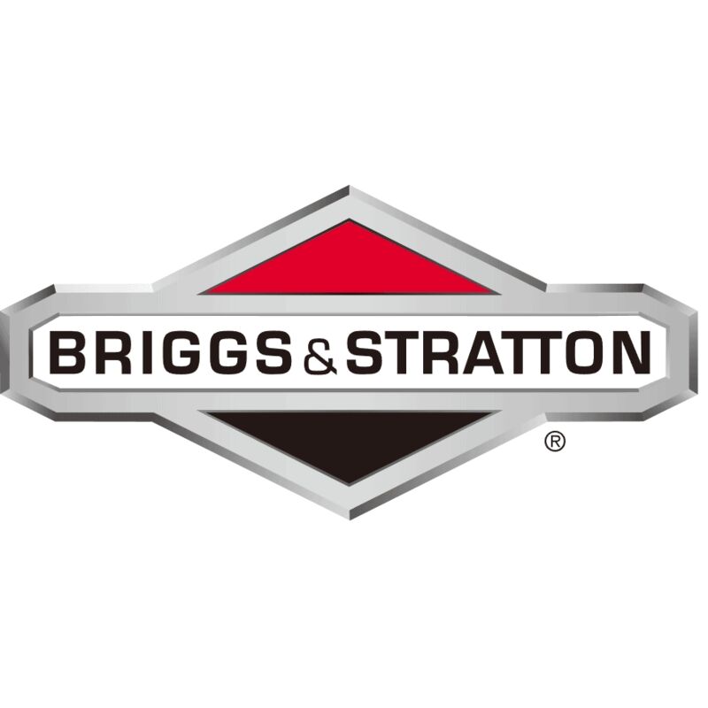 Comando aria ORIGINALE BRIGGS & STRATTON 691840