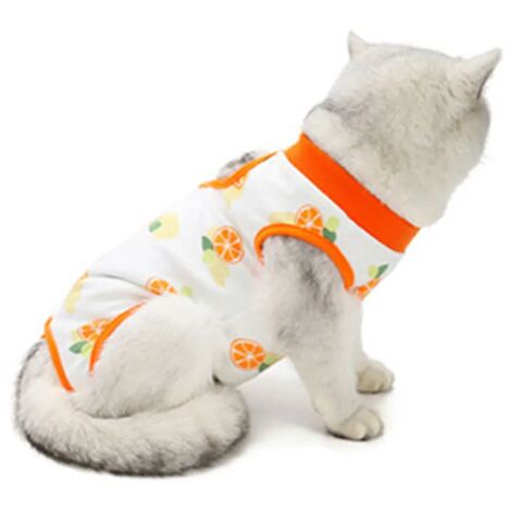 Combinaison de récupération chirurgicale pour chat, chemise respirante post-chirurgie pour animaux de compagnie pour plaies abdominales, maladies de la peau, bandages professionnels anti-fuite pour ch