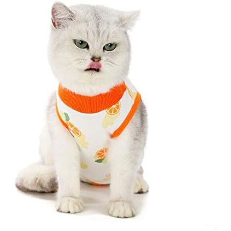 Combinaison de récupération pour chat après la chirurgie (L, orange)