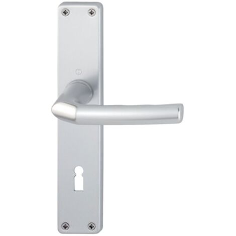 Combinazione di maniglie a lunga distanza Birm.1117/202SP Alluminio F1 OB 72mm DIN L/D
