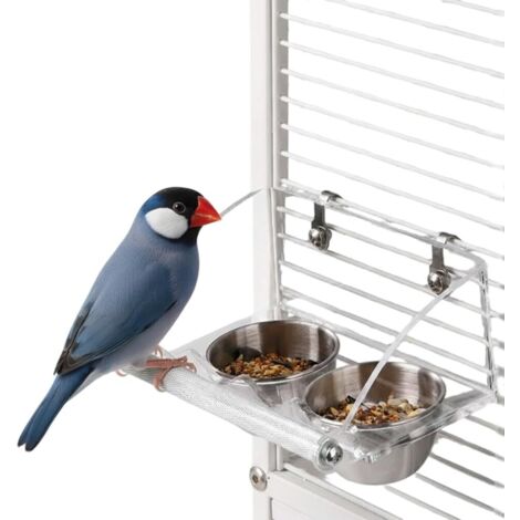 Comedero colgante de acrílico con bebedero integrado y percha antideslizante, ideal para loros y otros animales pequeños - B