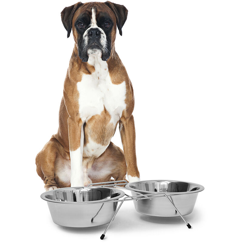 

Comedero Doble para Perros y Gatos Elevado, Acero Inoxidable, Plateado, 2.67 L