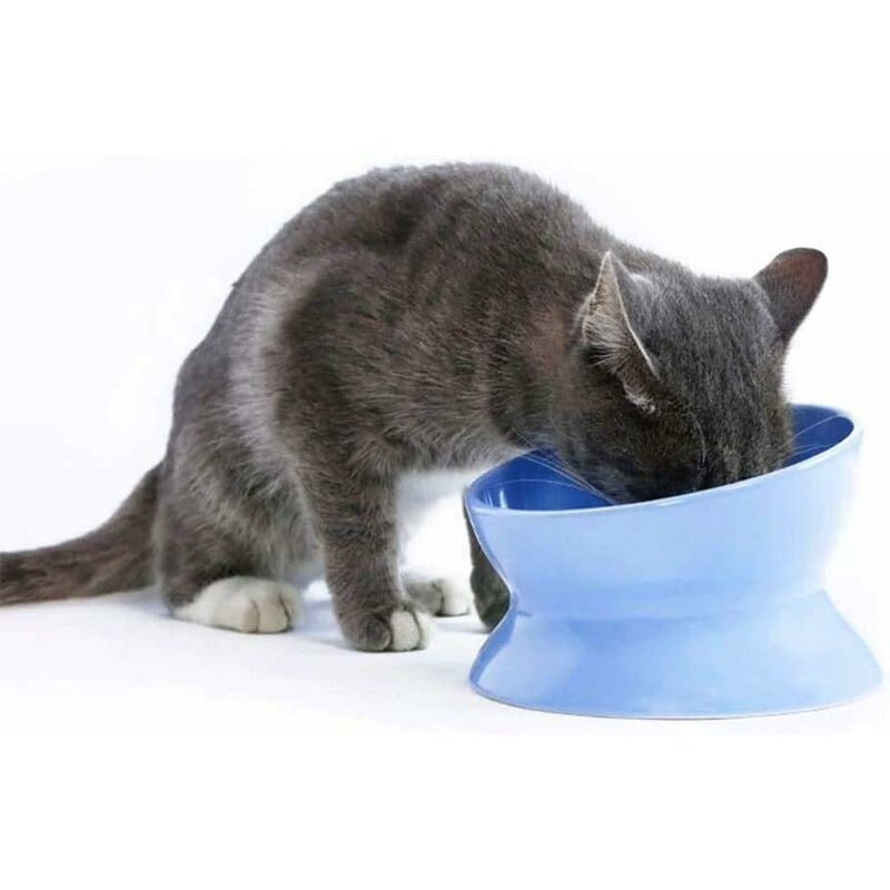 

Comedero lento elevado de cerámica para perros, comedero elevado de porcelana para comida y agua, menos regurgitación y vómitos