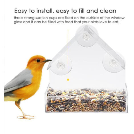 Comedero para pájaros con ventana de acrílico transparente – Comedero para animales voladores Ames – Comedero colgante para pájaros con ventana panorámica para observación