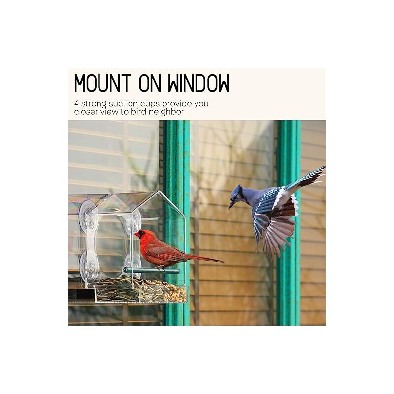 Linghhang - Comedero para pájaros de ventana, comedero para pájaros de exterior para aves silvestres