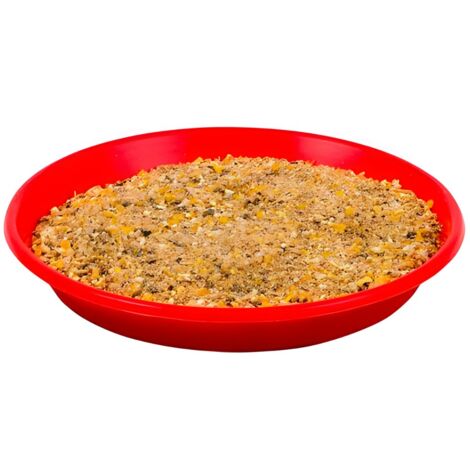 Comedero para Pollitos - Plato de iniciación para crías de gallina - Ø 19 cm