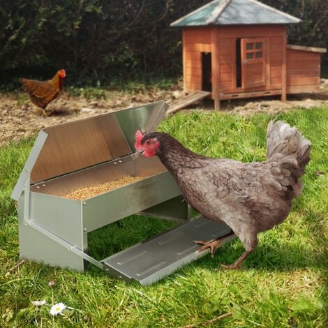 Comedero XL para gallinas comedero automático de pedal de acero 5 KG