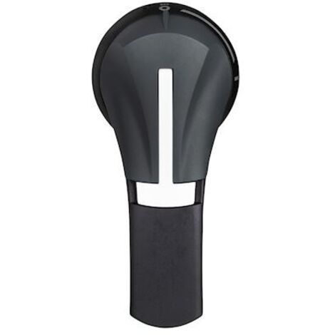 Commande rotative TESYS GS 100 à 400 A, montage à droite, IP55, 2 E/S
