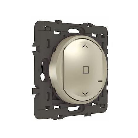 Interrupteur sans fils supplémentaire pour installation connectée Céliane  with Netatmo avec plaque Métal Tungstène - particulier
