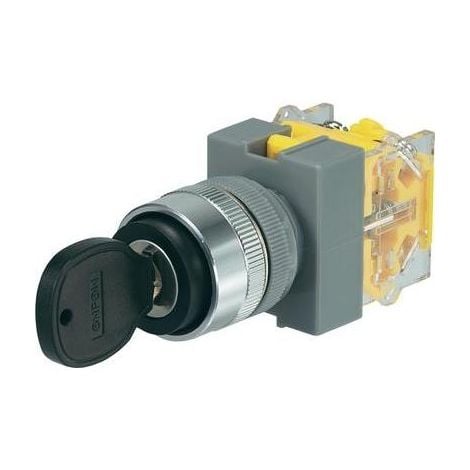 TRU COMPONENTS COMMUTATEUR À CLÉ CONRAD Y090-A-20Y/33 250 V/AC 5 A 2 X (ON)/OFF/(ON) 2 X 45 ° IP40 1 PC(S)