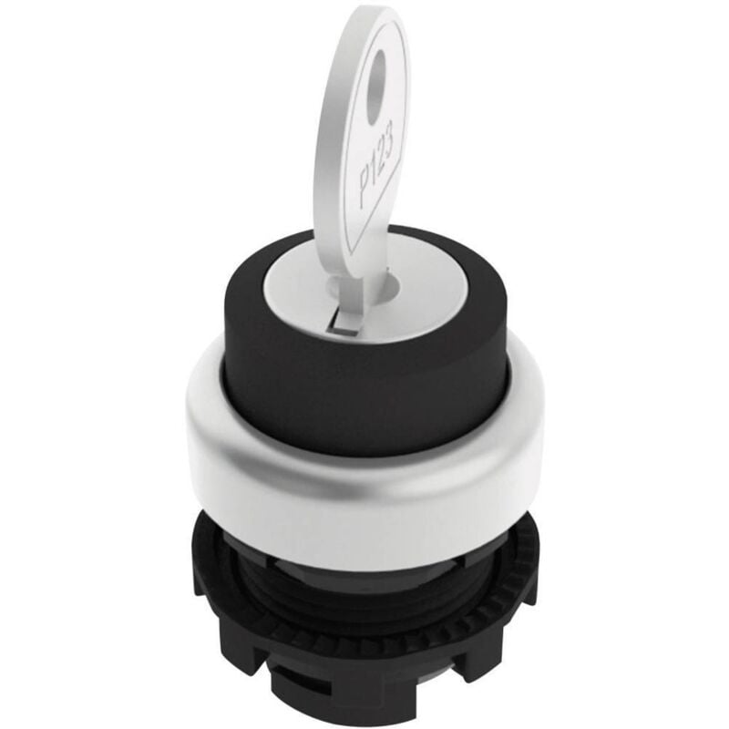 Pizzato Elettrica - E21SC2DVA19AA E21SC2DVA19AA Commutateur à clé noir 1 x 90 ° 1 pc(s)