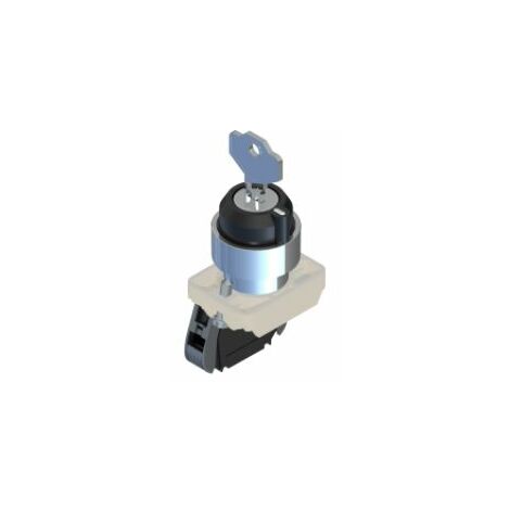 Commutateur sélectionneur RS PRO 2 positions 1 NO 22.5mm ( Prix pour 1 )