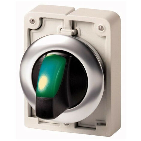 Commut.rotat.lumin.30mm affl.vert 2pos. EATON M30I-FWLK-G