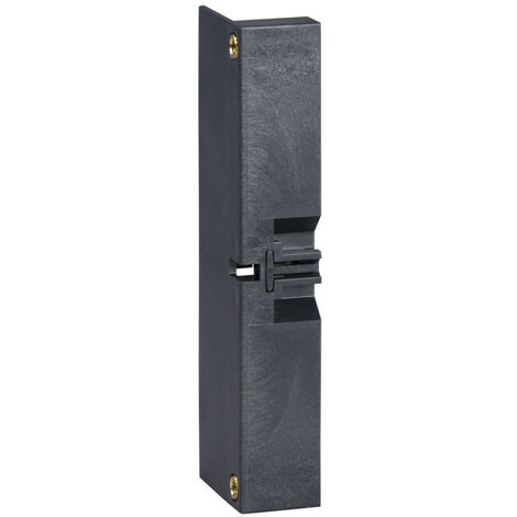 Compact INS100 à 160 - cache-vis - 3P/4P - 1 paire (28956)