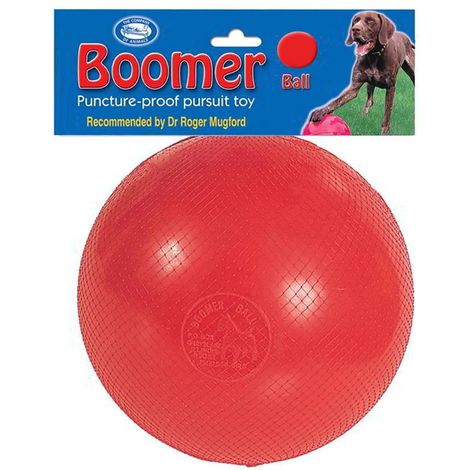 boomer ball pour chien