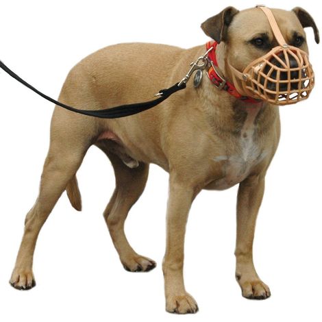 baskerville dog muzzle