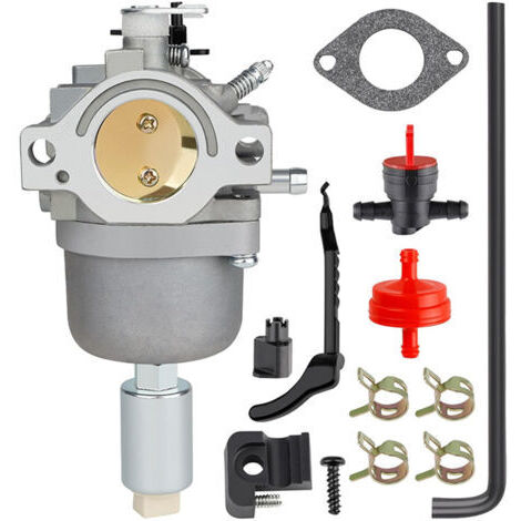 Compatible avec le carburateur 791858 Briggs & Stratton 792358 791858 794572 799727 698620 793224 697190 697141