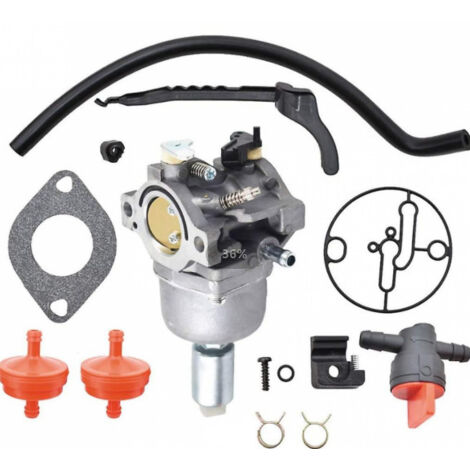 Compatible con carburador PB250LN, PB-250, ES250, A021003660 y RB-K106.