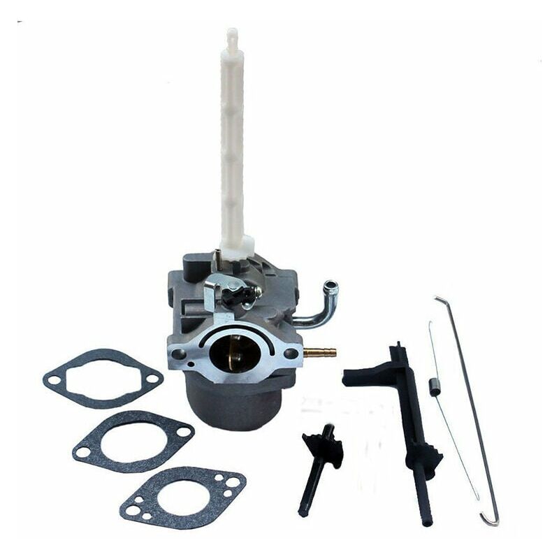 Alovez - Compatible sur carburateur Briggs & Stratton 796122 794593 20A414 20M114