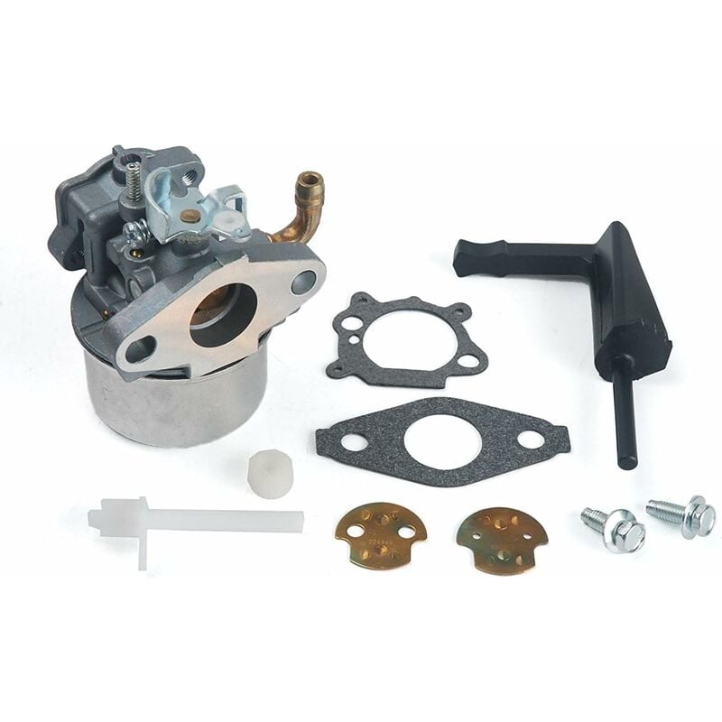 S-giant - Compatible with carburateur Carb pour Briggs & Stratton 798653 697354 790290 791077 698860 New