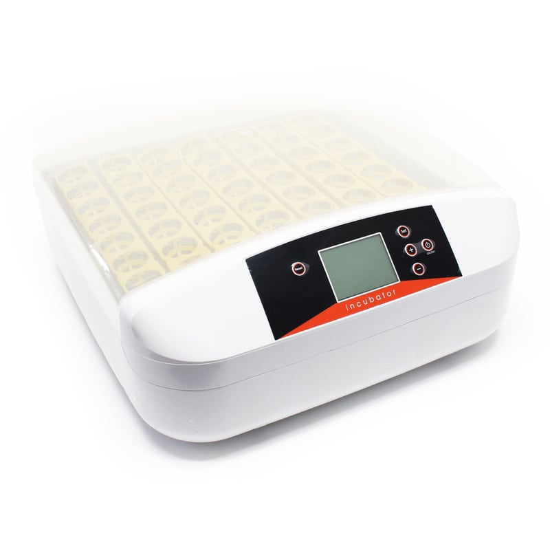 

Incubadora completamente automática para 56 huevos de gallina, adecuada para pato, codorniz, etc.