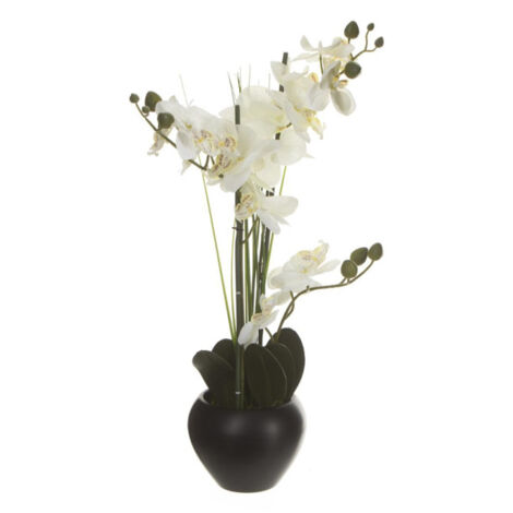 Composition Florale & Vase "Orchidée" 53cm Noir