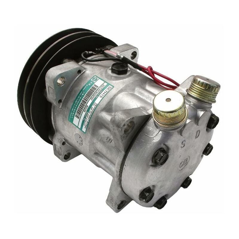 Image of Compressore aria condizionata adattabile Sanden 7975