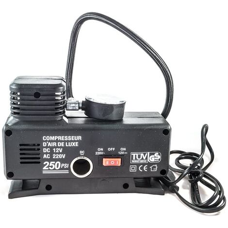 Compressore Mini Per Canotti Salvagenti Gonfiabili Auto Con Spina 220v E 12v