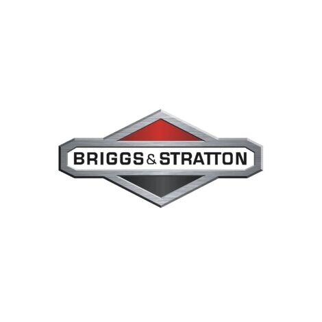 Comprobador de motores de 3 cilindros ORIGINAL BRIGGS & STRATTON 19400