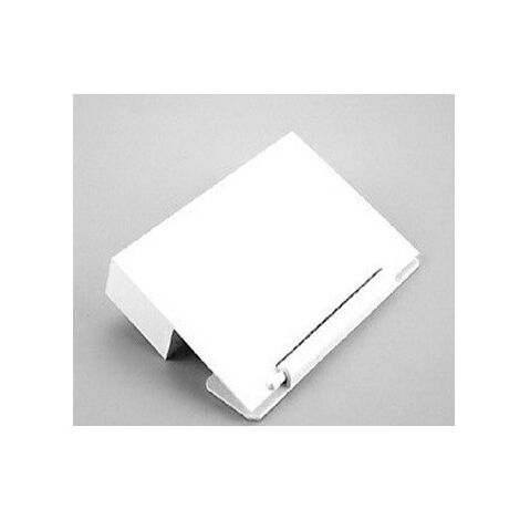 Compuerta Skimmer Antiguo Modelo Astralpool
