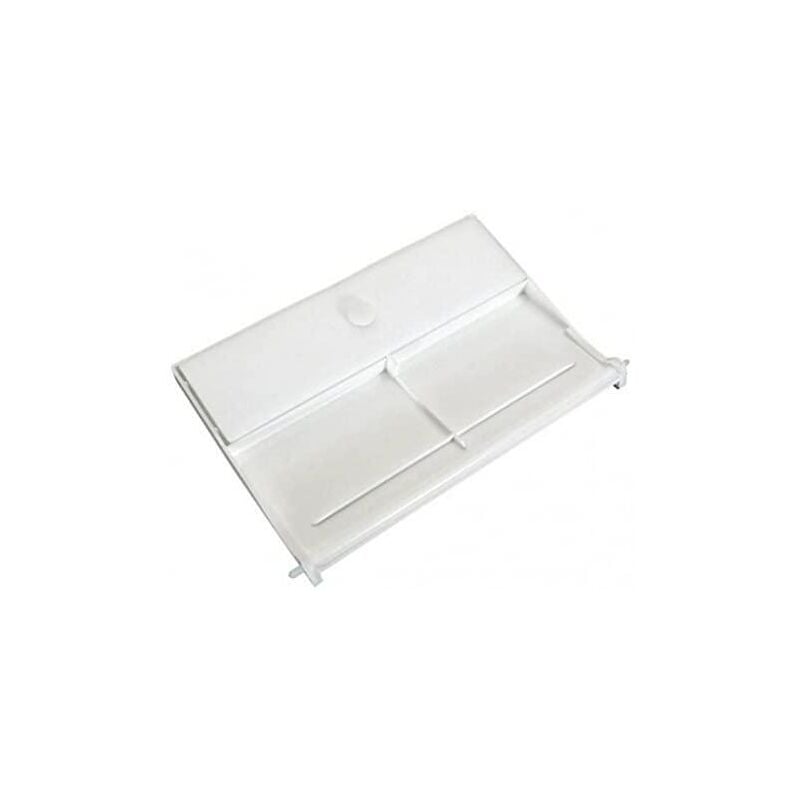 

Compuerta Skimmer bisagra Astralpool Ref. 4402010101