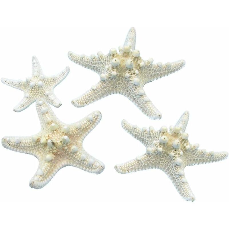 

Abcrital - Conchas de estrellas de mar naturales para decoraciones de bodas con temática náutica Fiesta de cumpleaños
