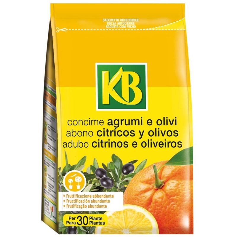 Concime Granulare 'agrumi olivi' Gr. 800
