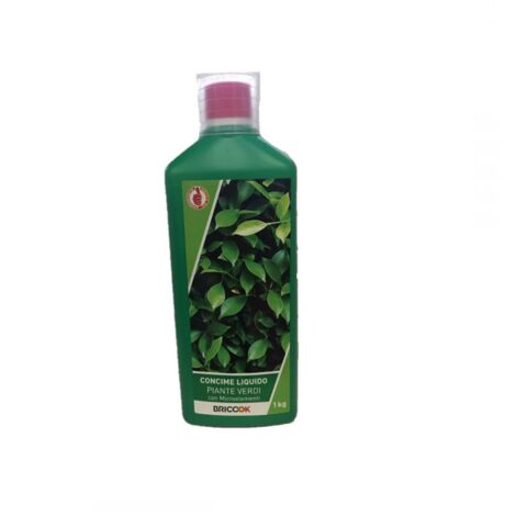 CONCIME PER PIANTE VERDI BRICO OK 1000G