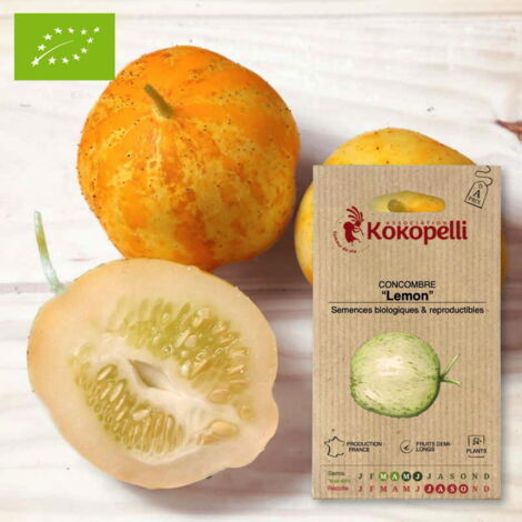 Concombre Lemon