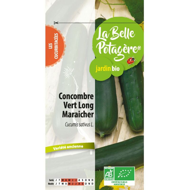 Concombre vert long maraicher 0.5 g