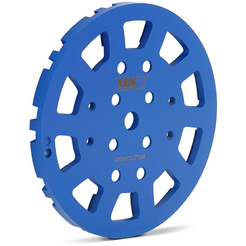 MSW - Concrete Grinding Disc Diamond Concrete Grinding Disc Grain Size 30 Diameter 250