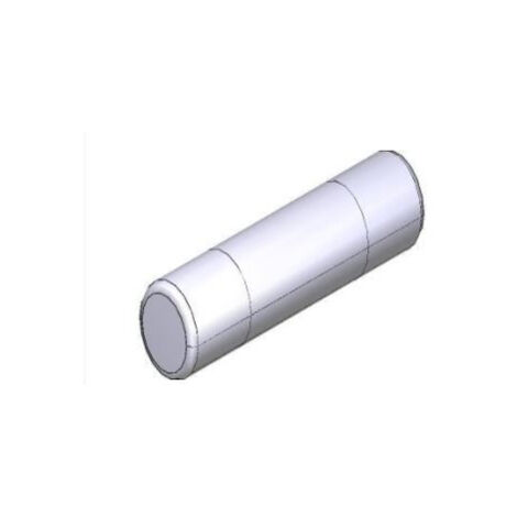 Conditionnement 10 fusibles rapides10 fusibles 10A CAME 119RIR320