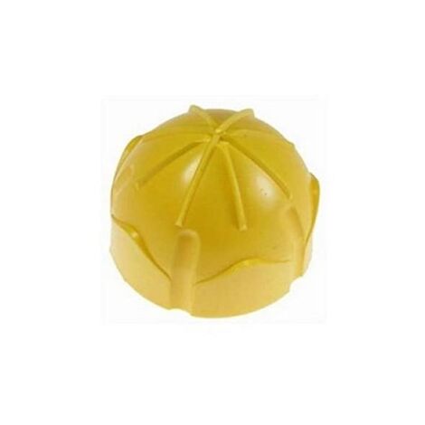 CONE PRESSE FRUITS PETIT MODELE POUR PETIT ELECTROMENAGER MAGIMIX - 101529