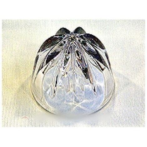 CONE TRANSPARENT POUR PRESSE-AGRUMES KENWOOD