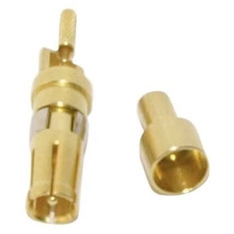 Conec 132J30019X 132J30019X Presa coassiale Placcato oro 1 pz.