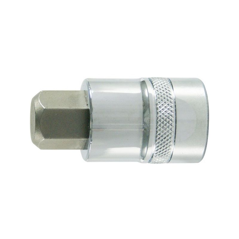 

Conector de artornillado 1/4'' para Tornillo femenino - hexagonal, pulido, lado e/planos : 4 mm, Largo 30 mm